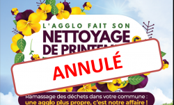 net annul