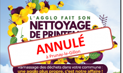 net annul2