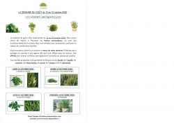 AFFICHE SEMAINE DU GOUT