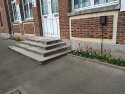 IMG_20210327_170532