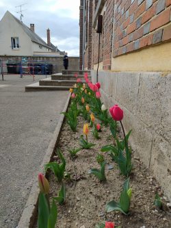 IMG_20210327_170539