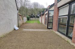 photo 1 (2)