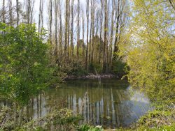 IMG_20210417_162504