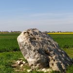 IMG_20210424_161243