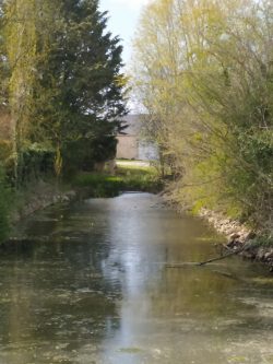 Mare de l'empereur