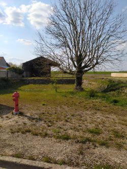 Mare des Vaux