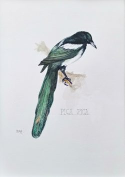 Image1