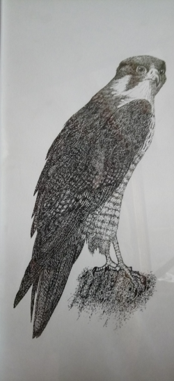 Image8