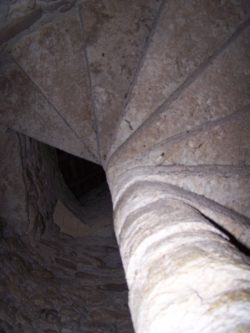 Photo 095
