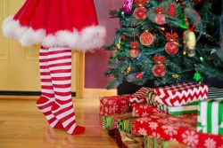 christmas-tree-2999722__340 (1)