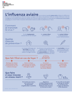 Flyer_influenza_INF(1)